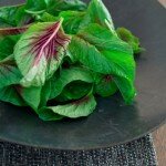 Chinese Spinach Chinese Spinach